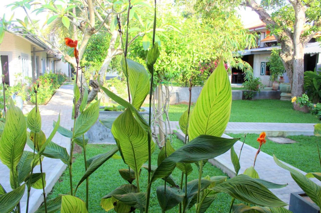 Morning Star Resorts Negombo Kültér fotó